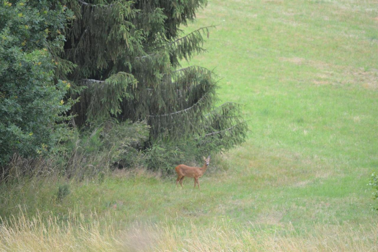 B&B Prosterath-Hochwald Exteriér fotografie