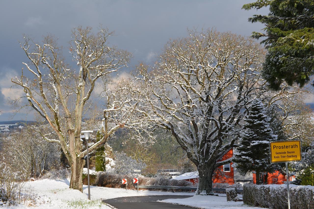 B&B Prosterath-Hochwald Exteriér fotografie